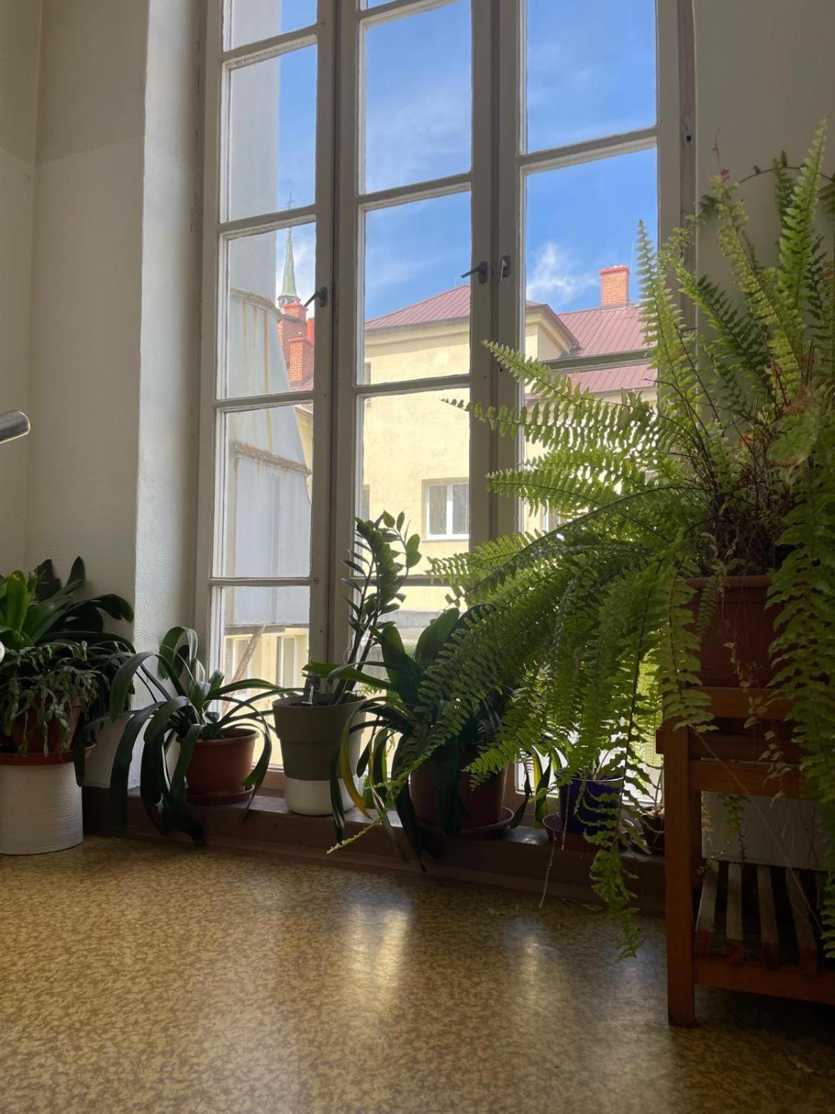 Hostel Moravia Острава Экстерьер фото